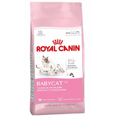 royal-canin-babycat